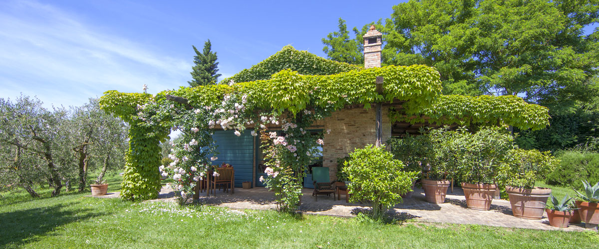 Alloggio L'Olivo — vista esterna con giardino privato e rose