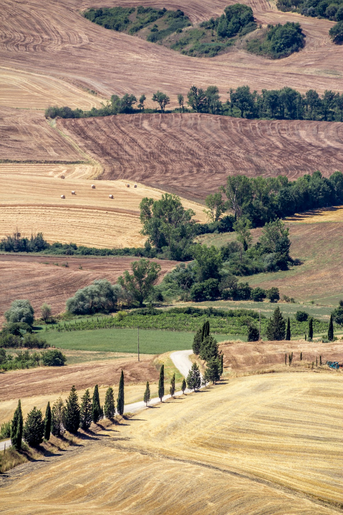 Sentieri e cipressi nella campagna toscana