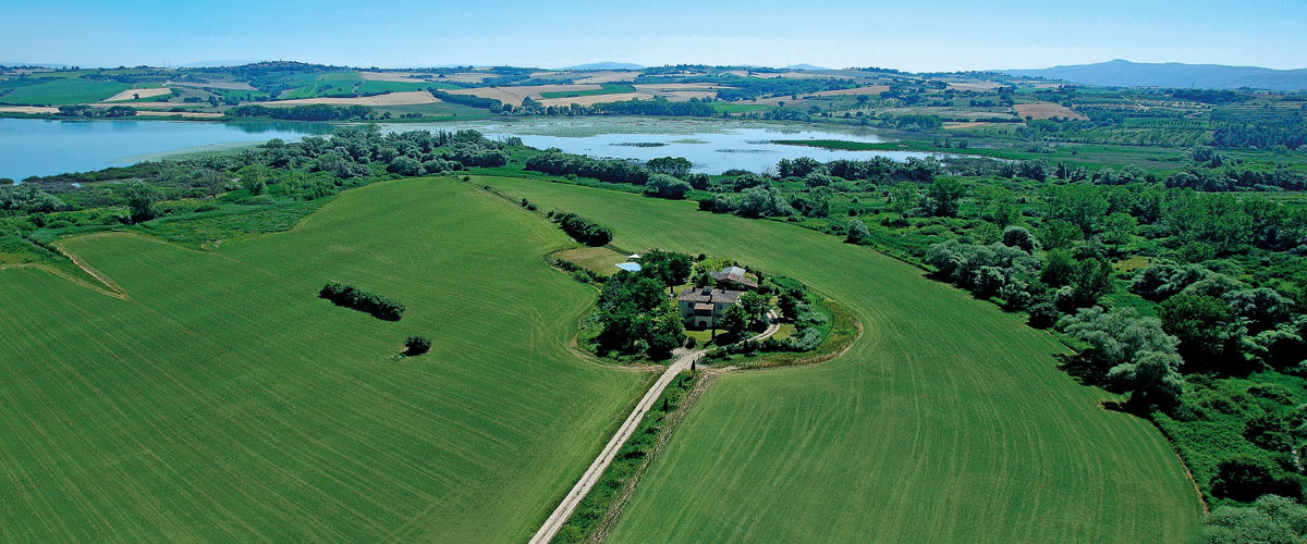 Vista aerea del podere di Poggio Pilella tra olivi e campi